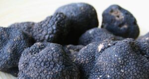 Argentina exporta trufas negras, una curiosa producción