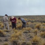 28 – 01 – pastoreo 4