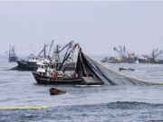 Agricultura fortalece el sistema de capturas y exportaciones en el sector pesquero