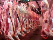 Exportaciones de carne vacuna de diciembre de 2020