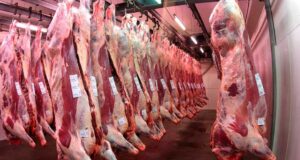 Exportaciones de carne vacuna de diciembre de 2020
