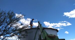 Productores caprinos del noroeste puntano recibieron un aporte para el mantenimiento de sus majadas