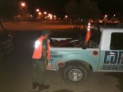 Caza ilegal: secuestran una camioneta en San Luis con dos búfalos y quirquinchos