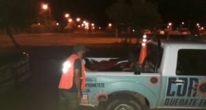 Caza ilegal: secuestran una camioneta en San Luis con dos búfalos y quirquinchos
