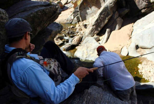 Foto-pesca