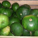 WhatsApp Image 2021-01-23 at 10.26.18 (1)