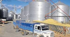 Los acopiadores apoyan el paro agropecuario: “No hay peligro alguno de faltante de maíz”