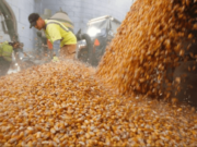 El campo anunció un paro de 72 horas en rechazo al cierre de las exportaciones de maíz