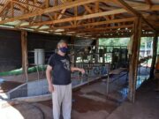 Nueva normativa para tambos de la Agricultura Familiar y Cooperativa