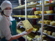 Agricultura y Salud incorporan la elaboración artesanal de productos lácteos al Código Alimentario Argentino