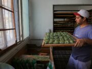 Nueva línea de crédito para financiar inversiones y capital de trabajo en Pymes Alimentarias