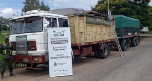Se investiga quiénes están detrás del contrabando de cereales
