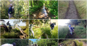 San Luis Agua realiza tareas de mejora en canales de riego del departamento Ayacucho