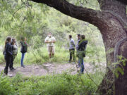 Dos lampalaguas fueron liberadas en el Área Natural Protegida “Quebrada de las Higueritas”