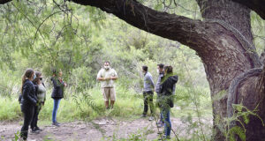 Dos lampalaguas fueron liberadas en el Área Natural Protegida “Quebrada de las Higueritas”