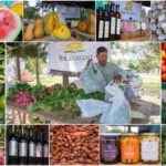 Foto-Sol-Puntano-2-2-1-630×426-2