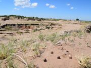 Miden el resultado de las bombas de semillas lanzadas sobre la Cuenca El Morro