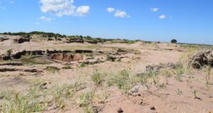 Miden el resultado de las bombas de semillas lanzadas sobre la Cuenca El Morro