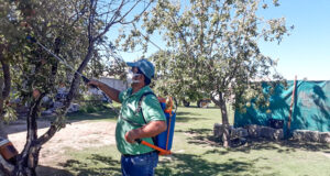 San Luis: el Programa Mosca de los Frutos continúa con sus visitas domiciliarias