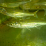 Visita-Embalse-Agencia-5