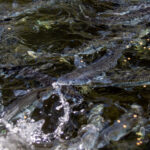 Visita-Embalse-Agencia-7