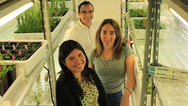cyta-Imagen-1-Investigadores