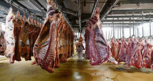 La faena finalmente cedió y cayó fuerte en enero