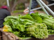 Impulsan el agregado de valor en origen en la producción familiar de alimentos del Norte de San Luis