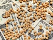 Fuerte aumento de liquidación de los agroexportadores en febrero
