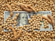 Vicentin: Acreedores del agro se enfrentan contra los bancos internacionales