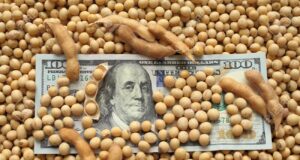 Vicentin: Acreedores del agro se enfrentan contra los bancos internacionales