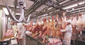 Frigorífico Coronel Moldes, habilitado para exportar a Europa
