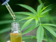 Mendoza reglamentó el uso de cannabis medicinal
