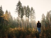 Lectura de domingo – El movimiento que prioriza el bienestar para evitar el cataclismo climático