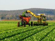 Presentan un plan integral para beneficiar a pymes que exporten a China