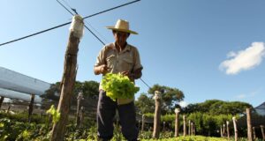 Curso de Buenas Prácticas Agrícolas para frutas y hortalizas frescas