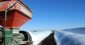 INTA brinda pautas para lograr almacenamiento seguro en silo bolsa