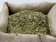 La Argentina logró la apertura del mercado de yerba mate a India