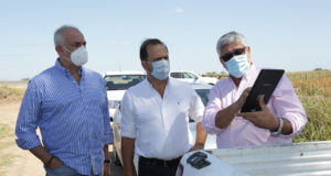 Agricultura lanzó la Estimación de campaña de la cosecha gruesa 2020/21