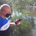 213ece7b-b2ff-47d7-9ae9-4589831e49d9