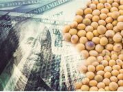 Marzo cerró con récord en liquidación de divisas del agro