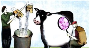 El INTA prueba un aditivo dietario que mejora la eficiencia del engorde