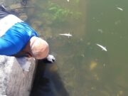 Trabajan en el dique Cruz de Piedra por la aparición de pejerreyes muertos: descartan contaminación