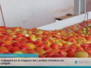 En la FAO aprobaron Medidas Fitosanitarias para el comercio internacional