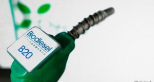 Pymes de biocombustibles intiman al Gobierno a cumplir la ley