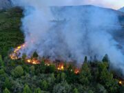 Manejo del fuego en la Patagonia: la diferencia abismal que existe entre Chile y la Argentina en la lucha contra las llamas