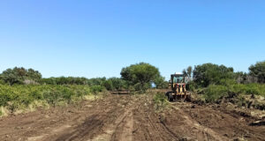 El gobierno de San Luis frenó un desmonte ilegal en Cortaderas y clausuró el establecimiento