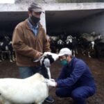 Agencia-1-3-630×426