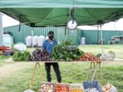 Pequeños y medianos productores se suman a la venta directa de Sol Puntano