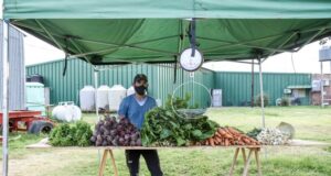 Pequeños y medianos productores se suman a la venta directa de Sol Puntano